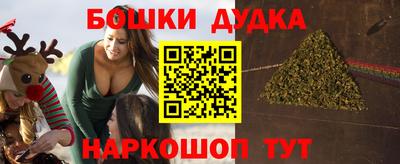 шишки Обнинск