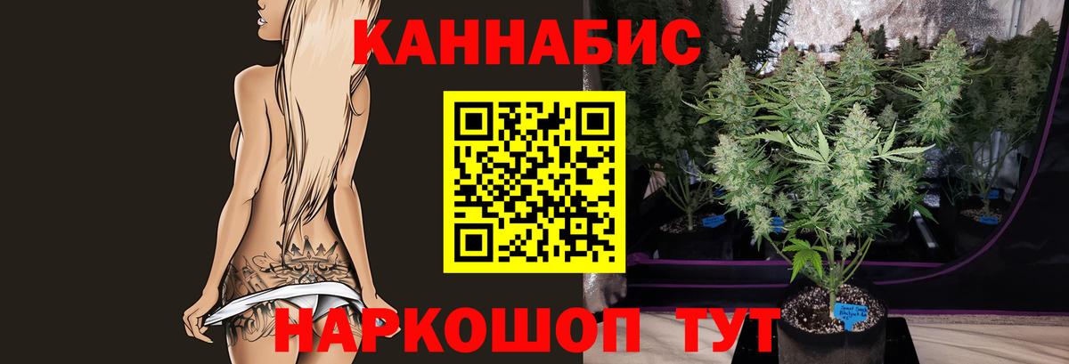 Канабис план Новомосковск